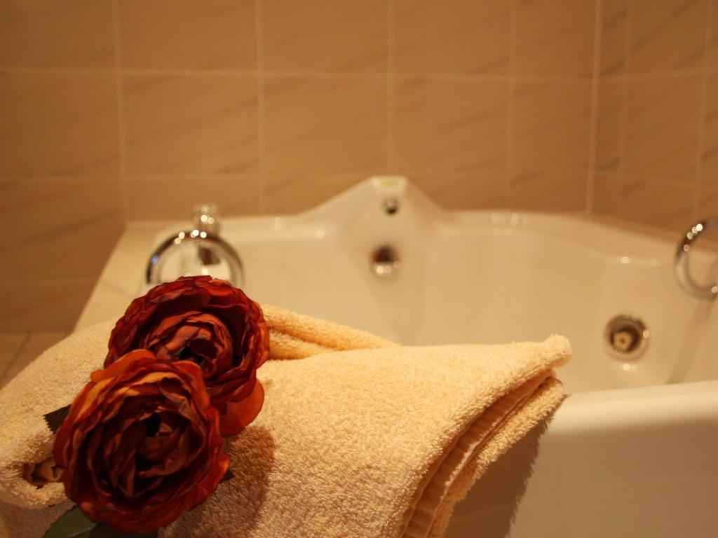 Hotel Haus Salzberg Garni Schleiden Cameră foto